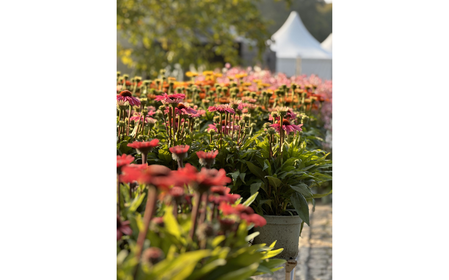 Lifestylebeurs Kasteel Ooidonk - 04/04 tem 06/04 - Duoticket - afbeelding 3
