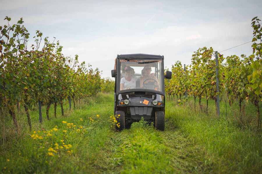 Wijntours | Ontdek de regio in een golfkar + overnachting + ontbijt + lunch + fles Bilzamico - afbeelding 1