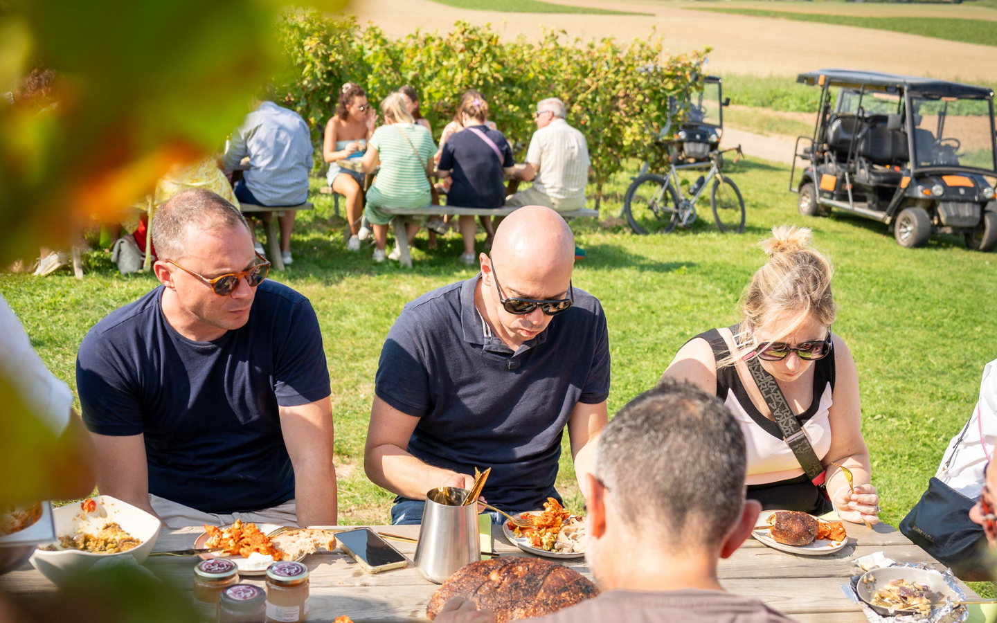 Wijntours | Ontdek de regio in een golfkar + overnachting + ontbijt + lunch + fles Bilzamico - afbeelding 13