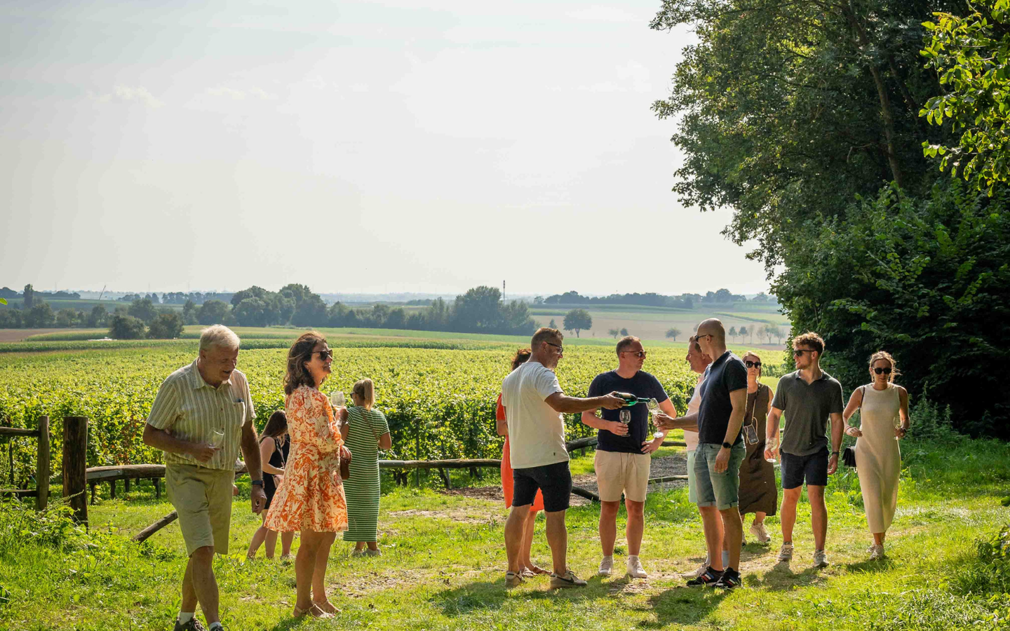 Wijntours | Ontdek de regio in een golfkar + overnachting + ontbijt + lunch + fles Bilzamico - afbeelding 14