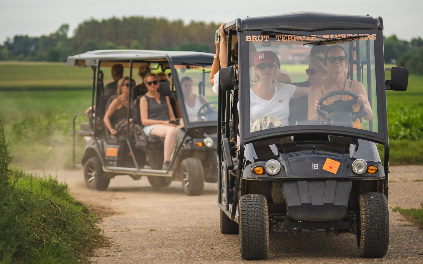 Wijntours | Ontdek de regio in een golfkar + overnachting + ontbijt + lunch + fles Bilzamico - afbeelding 16