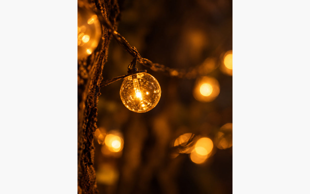 Luminara Lichtfestival @Merksplas Kolonie - afbeelding 5