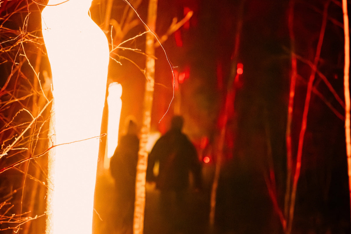 Luminoctis Lichtfestival @Terhills Maasmechelen - afbeelding 5